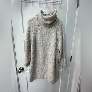 Turtle Neck Sweater Dress